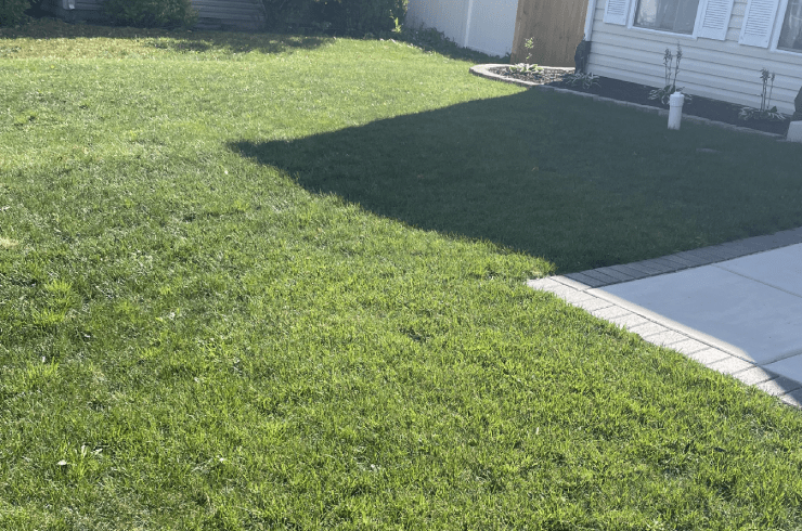 Lawn Heroes
