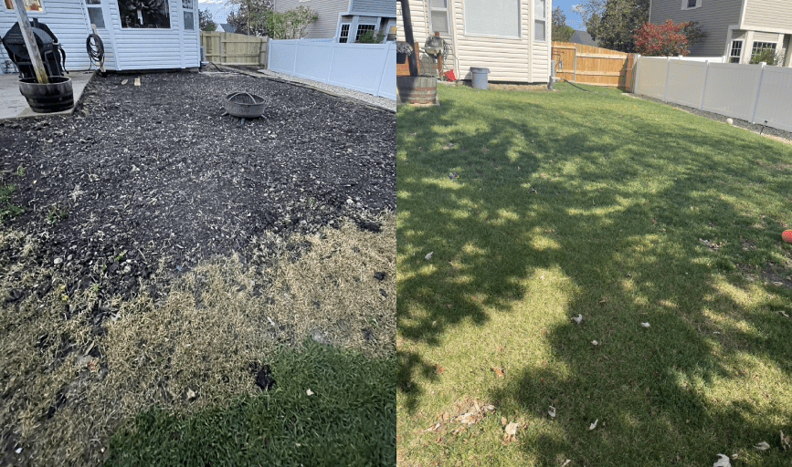 Lawn Heroes